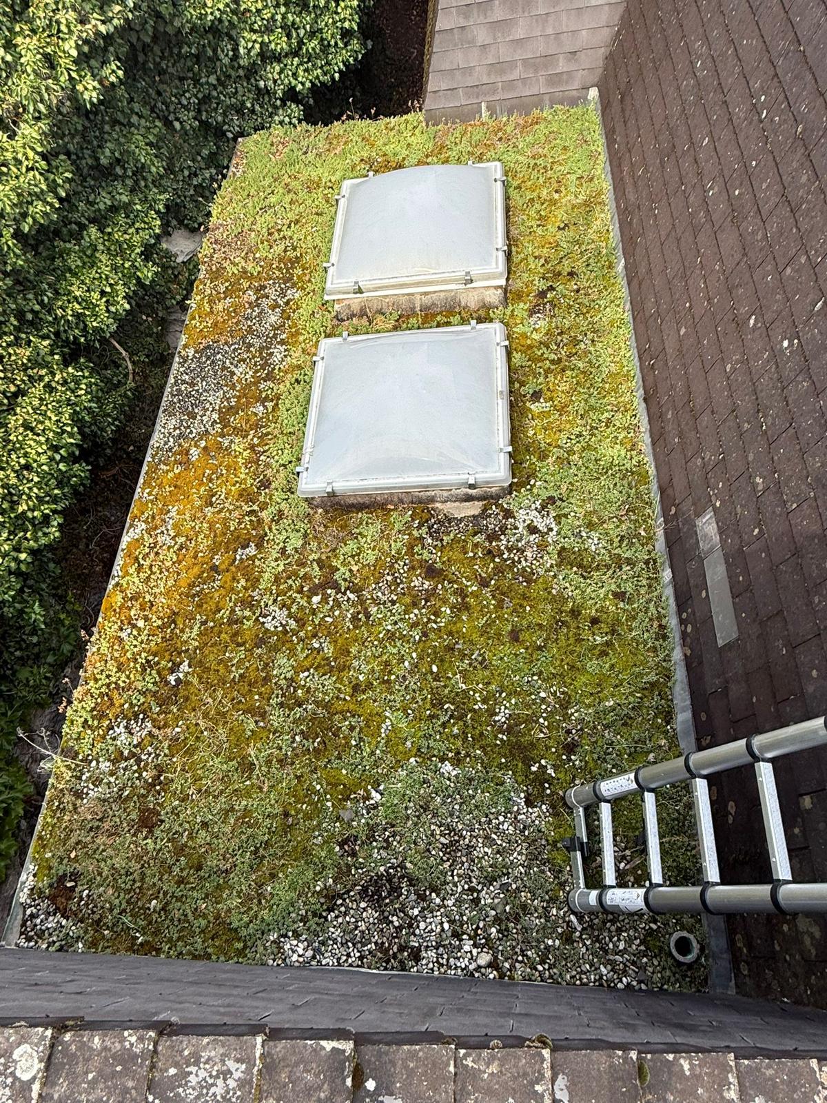 Étanchéité toiture plate - Avant Travaux